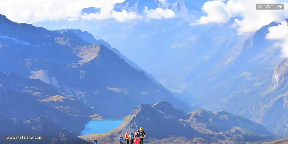 🏀 实时比分,尽在掌握!赛程动态更新,不错过任何逆转📊